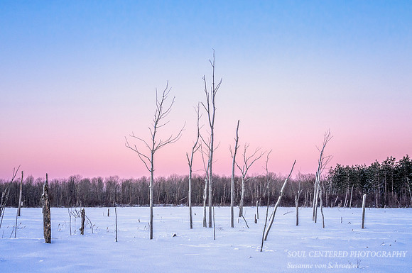 Evening mood in blue & pink