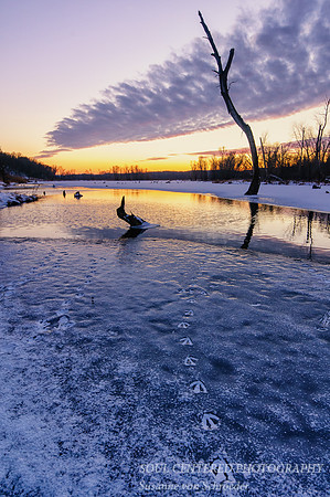 Kasota prairie sunset 2013b
