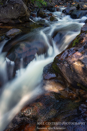 Caribou river, close up 1