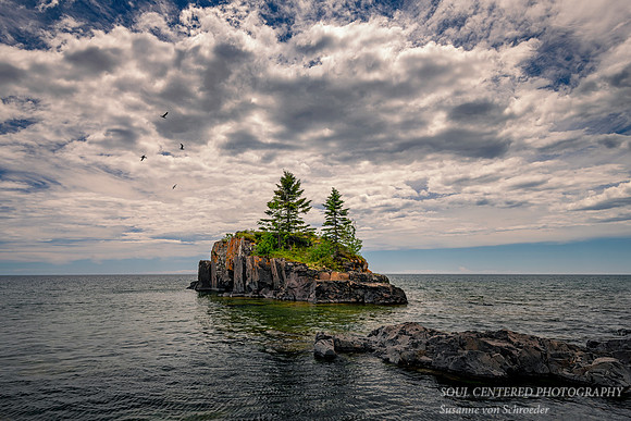 Hollow Rock with Seagulls, summer 2020