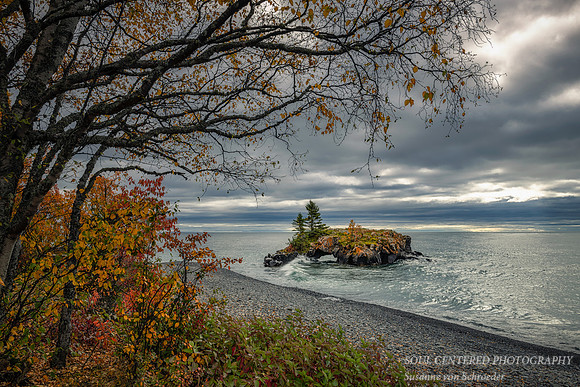 Hollow Rock with birch tree, fall 2020