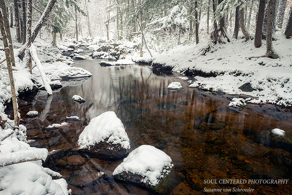 Creek, April 12. '20 snowstorm 1