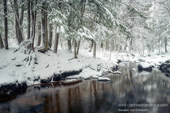 Creek, April 12. '20 snowstorm 2