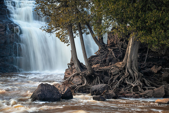 Gooseberry Lower Falls, with Cedar Trees, April '20, 1