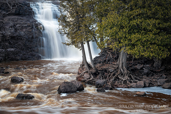 Gooseberry Lower Falls, with Cedar Trees, April '20, 2