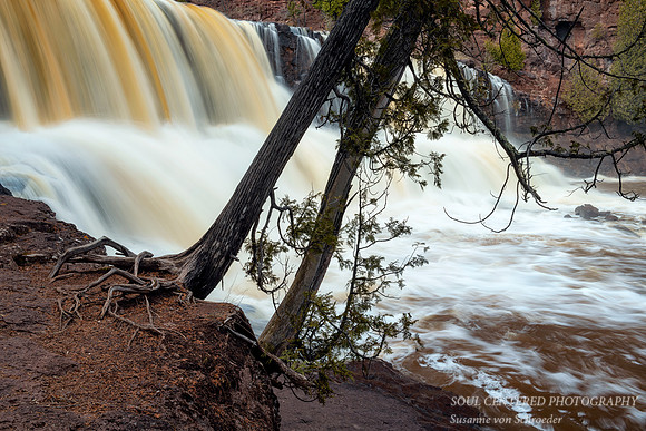 Gooseberry Middle Falls, with Cedar trees, April '20