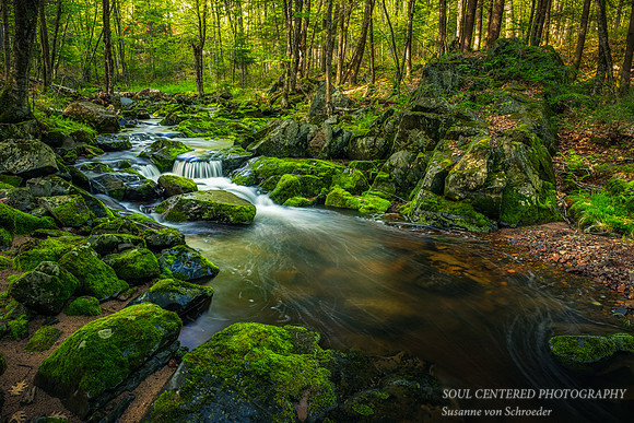 Creek and moss covered rocks, May 25, '20