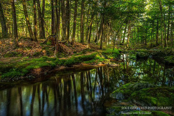 Creek with reflections, May 25, '20 2