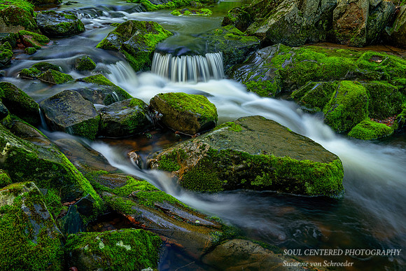 Creek and moss covered rocks, close-up, May 25, '20