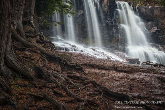 Gooseberry Middle Falls with tree roots