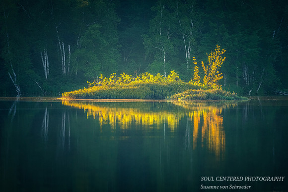 Evening light at Audie Lake 1 2