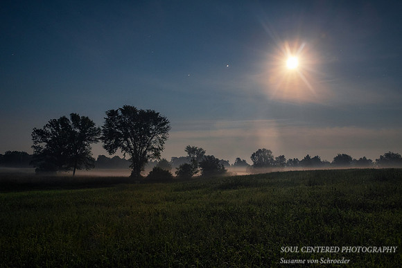 Moonlit landscape