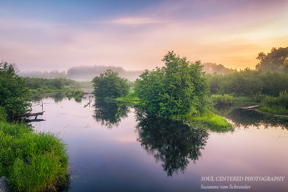 Dawn at a river, summer morning