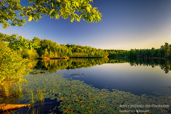 Evening light and reflections