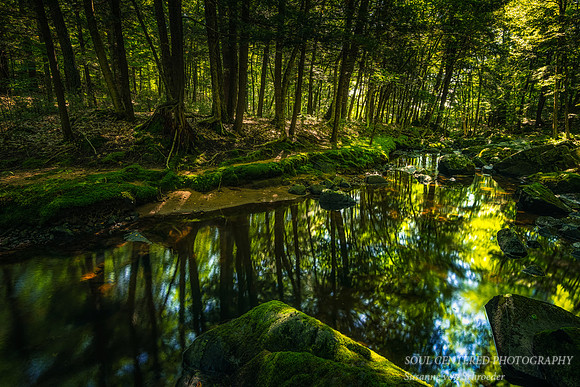 Creek with reflections, August 2020