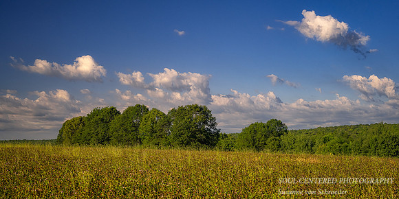 Morning sky, in the Blue Hills