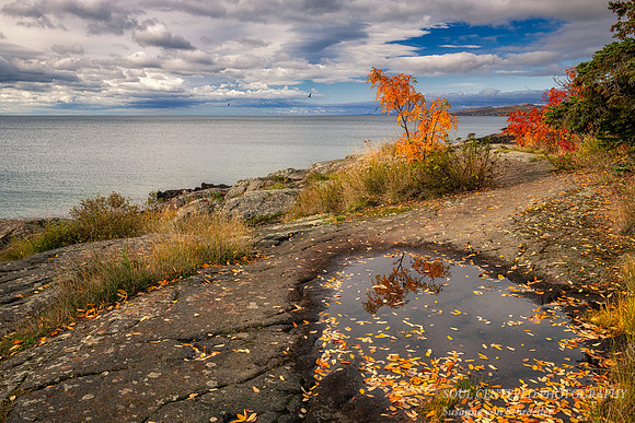 Lake Superior shoreline, fall 2020 2