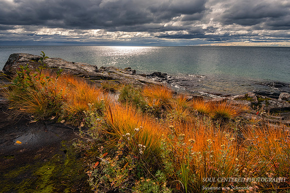 Lake Superior shoreline, orange grasses, 2020
