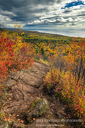 Oberg Mountain trail, fall 2020 3