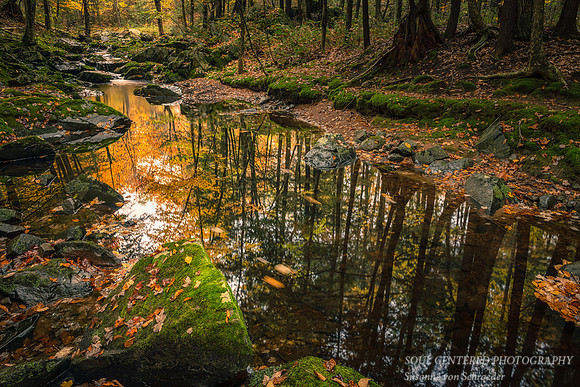 Creek with reflections & autumn leaves, 2020 1