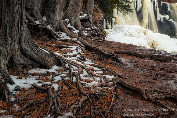 Gooseberry Middle Falls, with ice and Cedar trees, Nov. '20 1