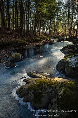 Frozen creek, sunlight, Dec. '20 2
