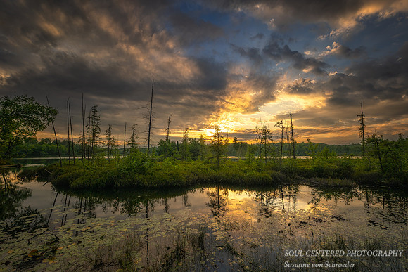 Sunset clouds and bog, Audie Lake, July '25
