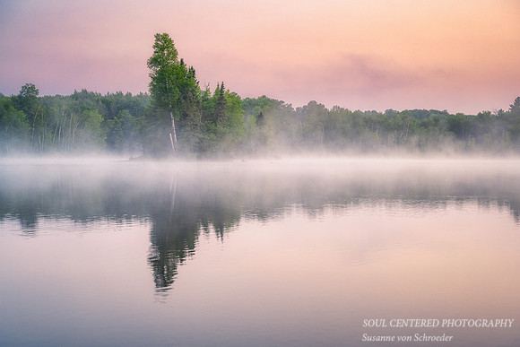 Foggy dawn, Audie Lake, July '21, 1