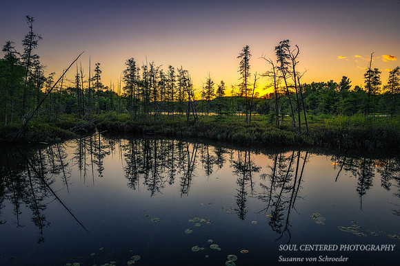 Blue Hour and reflections 1