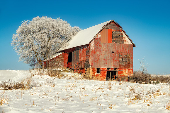 Red barn sparkling on a winter day