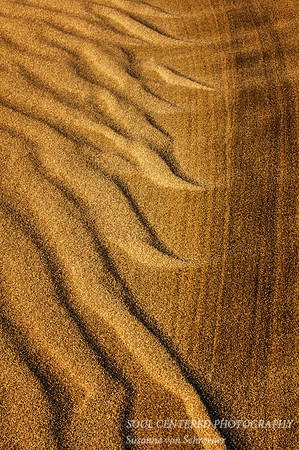 Sand Dunes, ripples 1