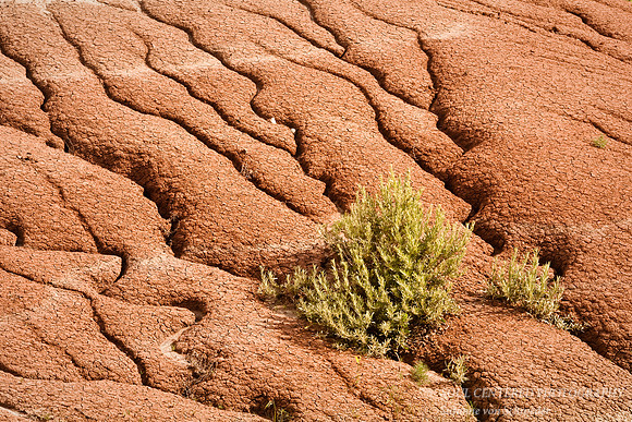 Badlands red soil w. cracks 4