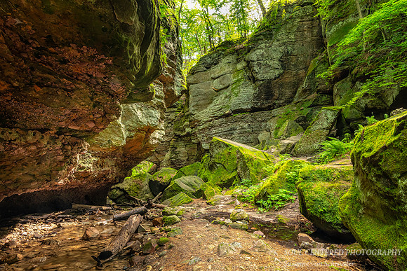 _DSC2919a