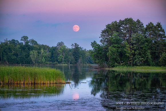 August full moon rising, Chippewa Flowage, '25 3