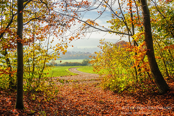 Autumn Scene in Germany 1