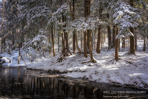 Snowy creek in early spring, '25 3