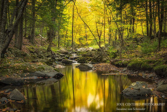 Magic Creek, fall golden