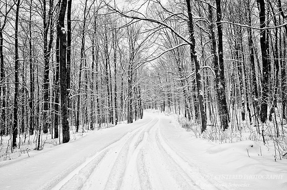 Snowy road in Blue Hills