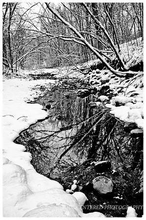 7 Mile Creek, B&W