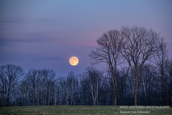 November full moon, Blue Hills, '24 3
