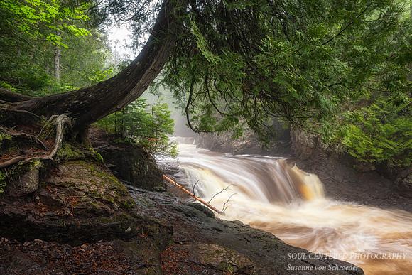 Cascade River, June 24'