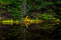 _DSC0691a