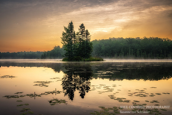 Spruce island at sunrise, August '25 1