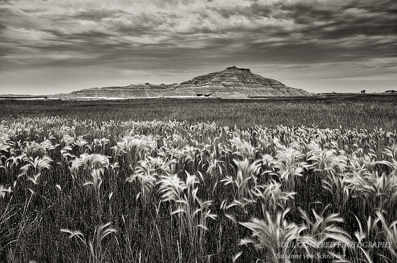 Badlands scenery 5, bw