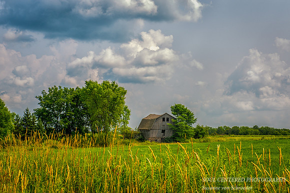 Barn on a summer day 2