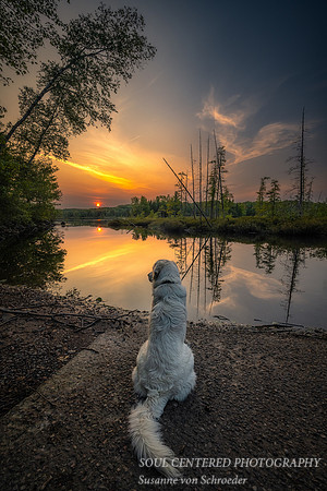 Shanti at sunset, Audie Lake 1