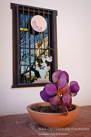 San Xavier Mission, cactus & window