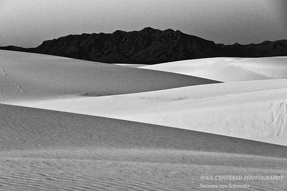 San Andres Mts. w. dunes 2, bw