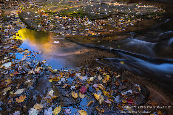 At Siskiwit falls, close-up, Oct. '24