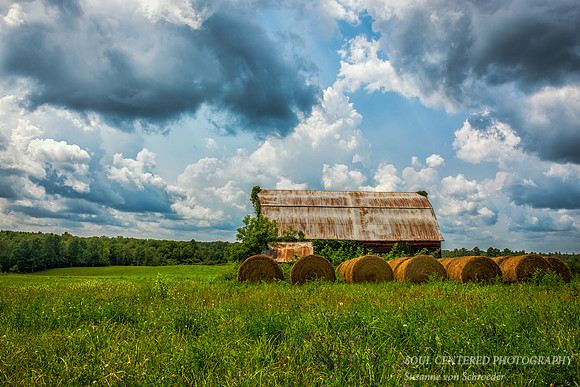 Barn on a summer day 1